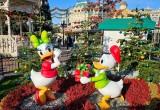 Donald macht Daisy ein Geschenk