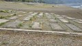 Friedhof Alt-Behrich
