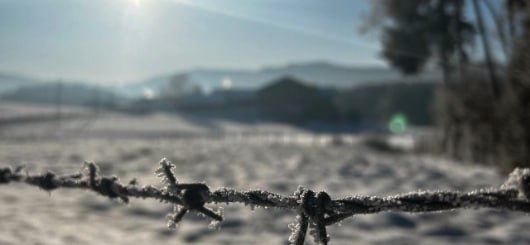 Eiszeit in Sachen Kommunikation?