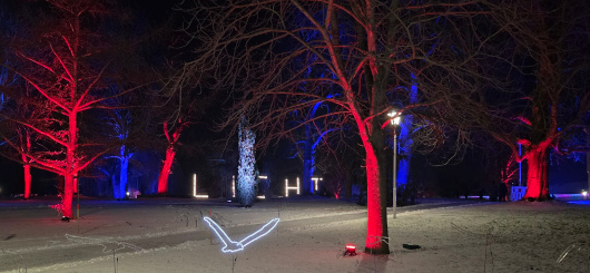 Winterleuchten Erfurt