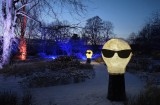 Winterleuchten Erfurt