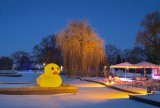 Winterleuchten Erfurt