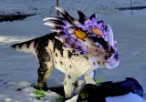 Styracosaurus