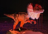 Dilophosaurus