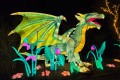 Ein Drache im Bergzoo Halle