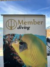 Tauchen auf Koh Samui - Mai 2025